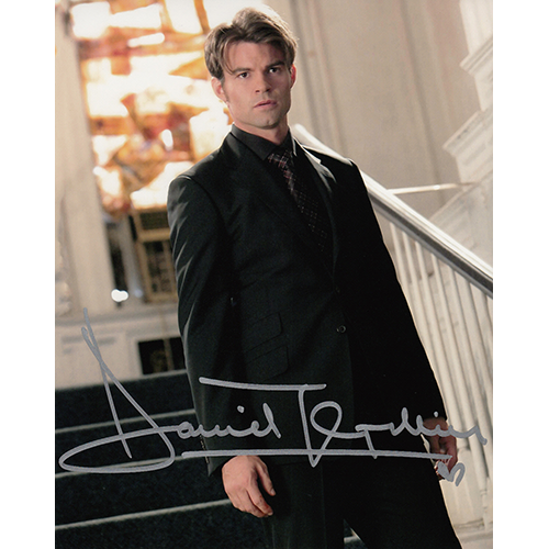 Daniel Gillies Autographed 8"x10" (The Originals)