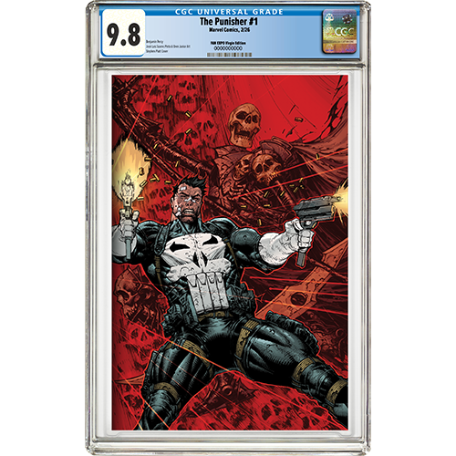 Punisher #1