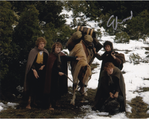 Elijah Wood Autographed 8"x10" (Lord of the Rings)