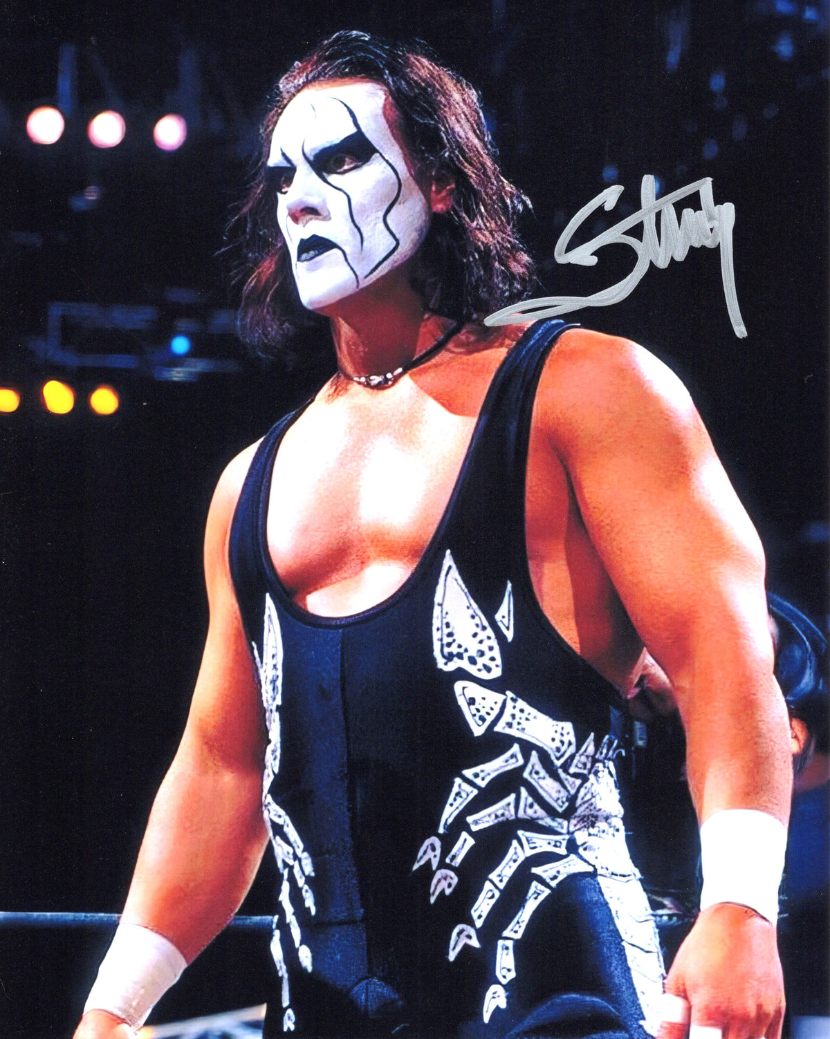 Steve Bordon "Sting" Autographed 8"x10" (Wrestling)