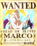 Kyle Phillips Autographed 8"x10" (One Piece)